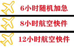 布拉克空运公司快递公司,专业空运当天件